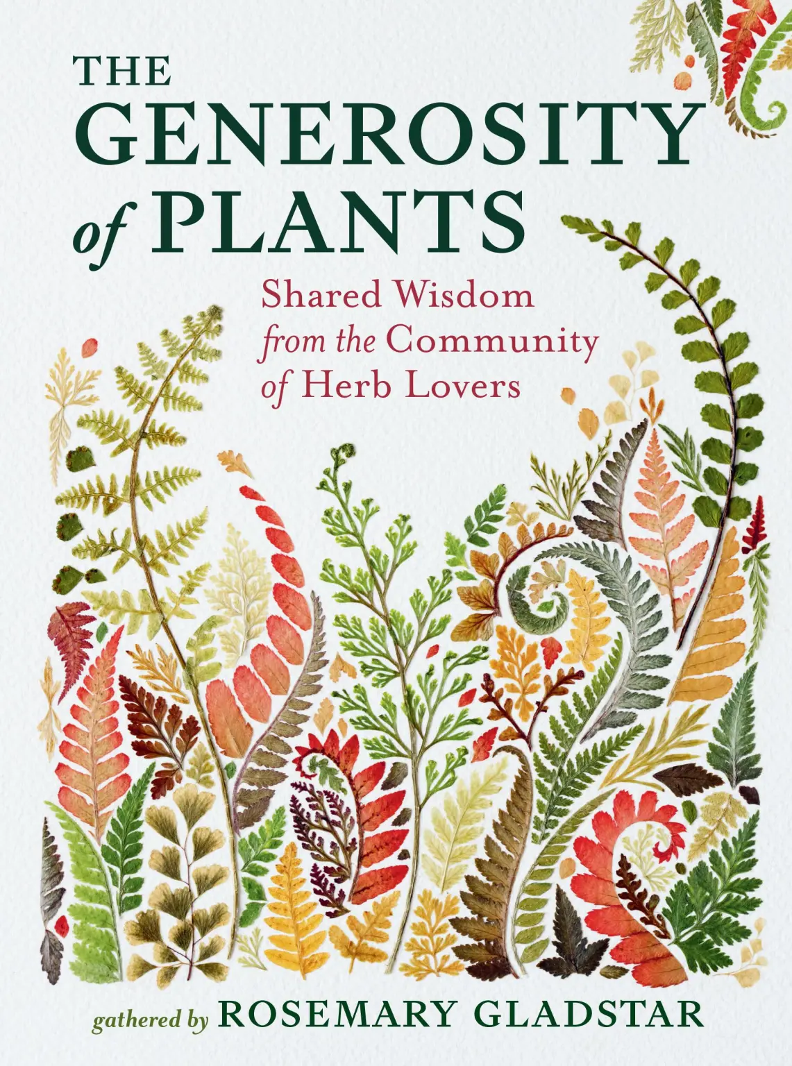 The Generosity of Plants 1 The book cover of The Generosity of Plants: Shared Wisdom from the Community of Herb Lovers by Rosemary Gladstar. The title is in bold dark green serif font, with the subtitle in red italics. Below, "gathered by ROSEMARY GLADSTAR" appears in green. The background is off-white, and the lower half features an intricate watercolor illustration of various ferns and botanical elements in shades of green, red, orange, and yellow, arranged in a natural, flowing pattern.