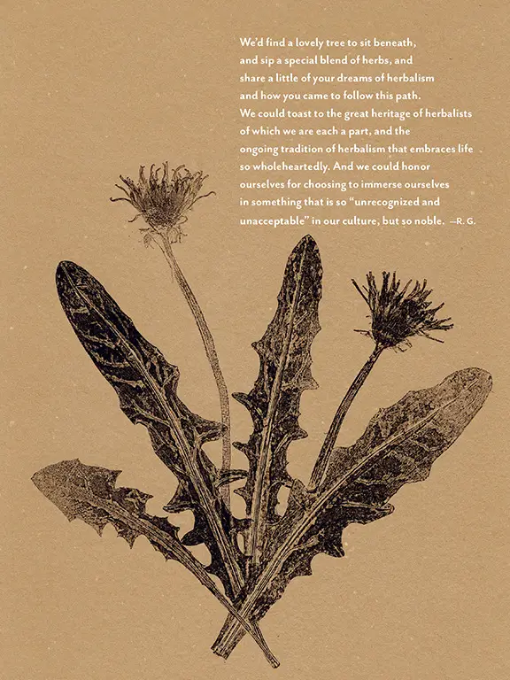 The Generosity of Plants 13 The Generosity of Plants - Image 13