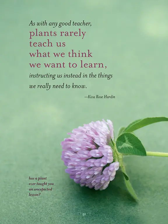 The Generosity of Plants 5 The Generosity of Plants - Image 5
