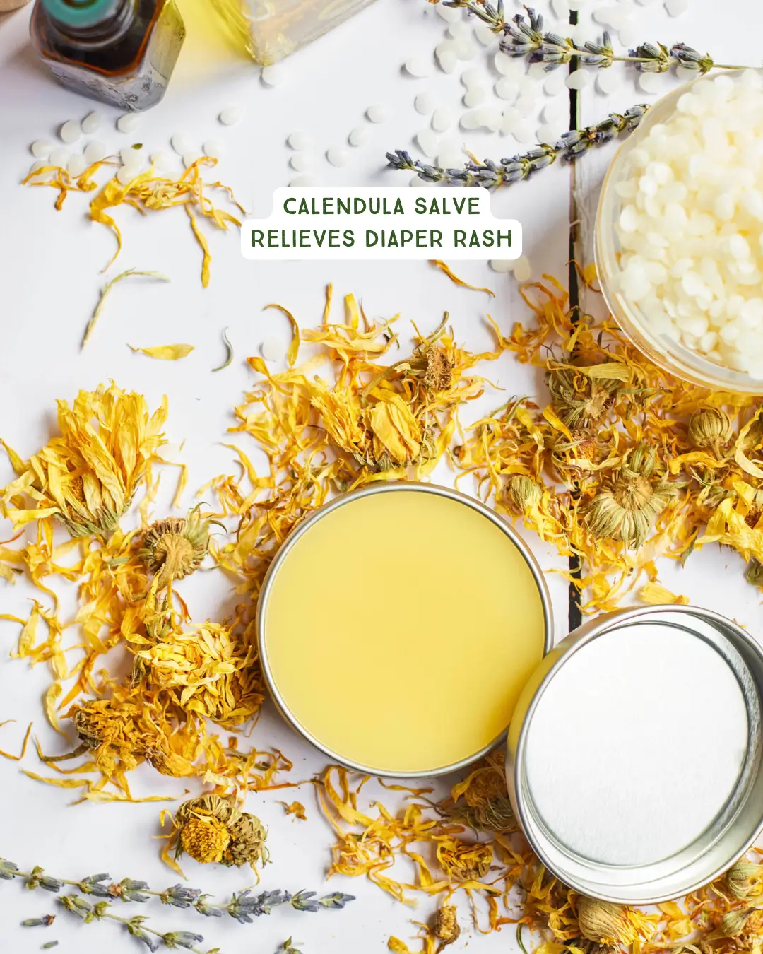 Herbal Wisdom for Families Bundle 2 Calendula Salve
