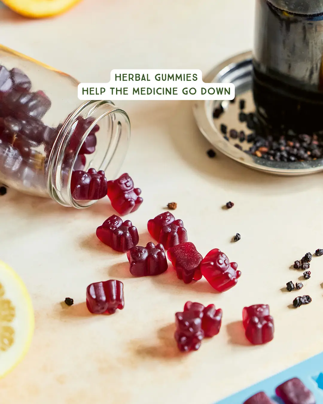 Herbal Wisdom for Families Bundle 4 Herbal Gummies