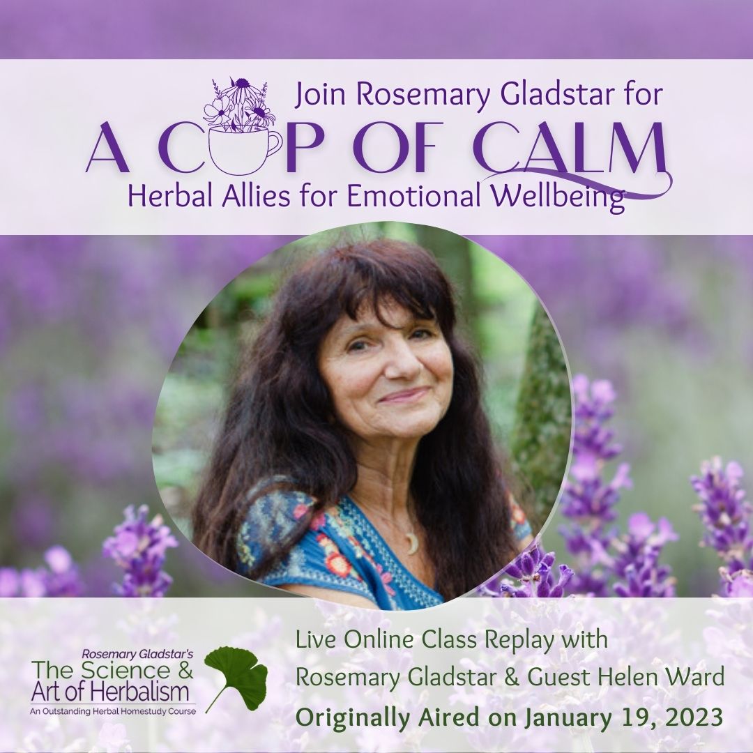 A Cup of Calm Replay square