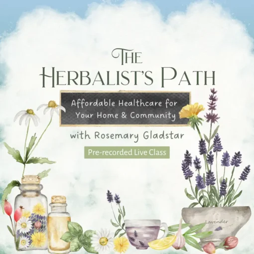 The Herbalists Path Replay square