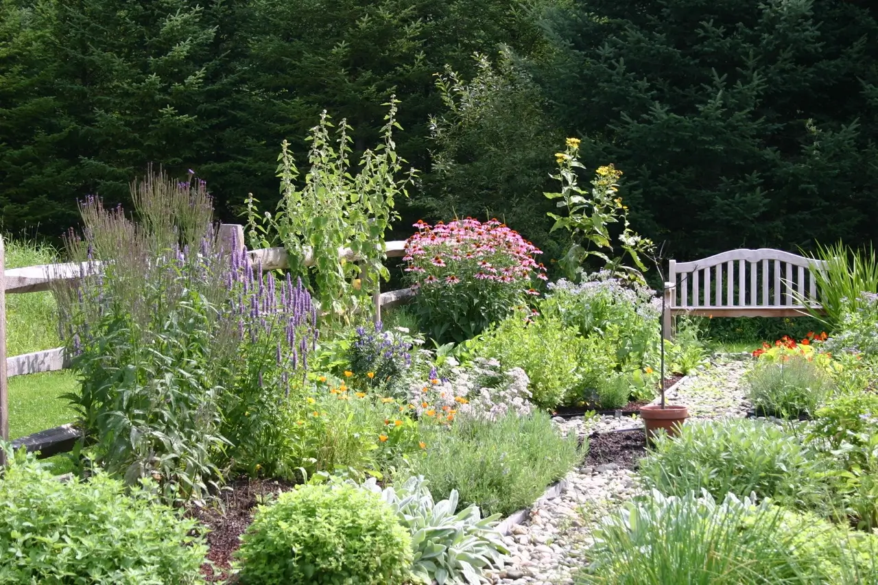 Nancy Scarzello herb garden vt Large