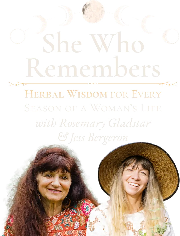 She Who Remembers title